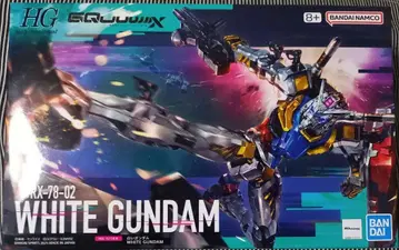 HG 화이트 건담 지크 액스