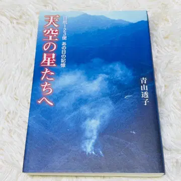 하늘의 별들에게 : 일본항공 123편 그날의 기억