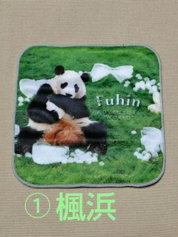 어드벤처 월드 반다 카에데하마 미니 타월 1