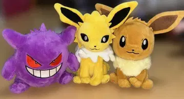 포켓몬 fit 가 썬더 이브이