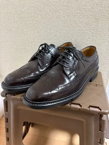 REGAL 롱 윙팁 25EE 다크 브라운