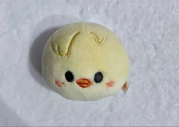 straykids skzoo 포가리 스트레스 공