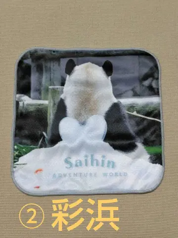 어드벤처 월드 팬더 채빈 미니 타월 2