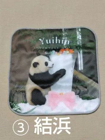 어드벤처 월드 팬더 유 미니 타월 3