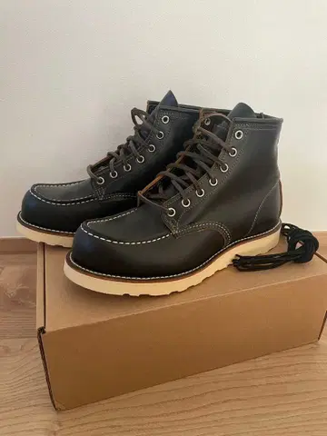 레드윙 차심 9874 아이리쉬 세터 클론다이크 새상품 미사용