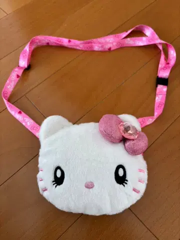 USJ 한정판 키티짱 패스 케이스 헬로키티