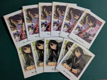 앙스타 파샤츠 레이