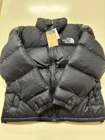 THE NORTH FACE 눕시 다운 자켓