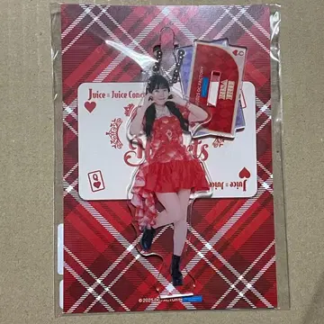 이리에 리사 fsk