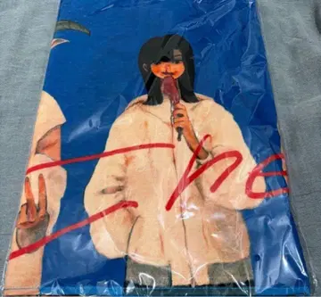 익일 오전 발송 미개봉 새상품 Chevon 타월