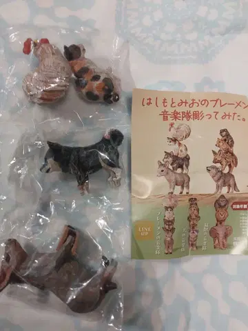 하시모토 미오 브레멘 음악대