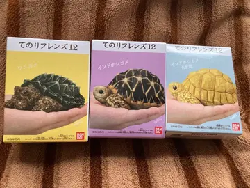 테노리 프렌즈 12 거북이 3종 세트