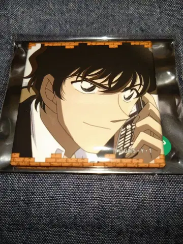 코난랜드 마츠다 진페이