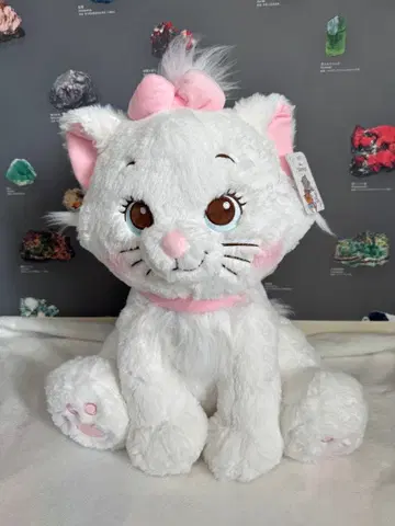 코스트코 오샤레캣 봉제 인형 약 50cm 마리