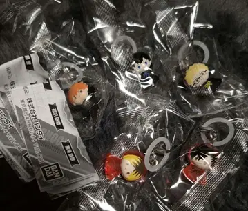 하이큐!! 메지루시 액세서리 컴프 히나타 카게야마 츠키시마 코즈메 쿠로오