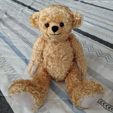 Schulte 테디베어 Teddy Bear