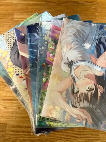 칸토쿠 클리어 파일 묶음 판매