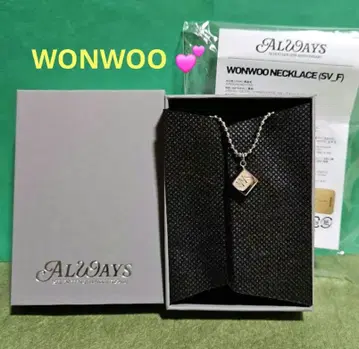 레어 SEVENTEEN 원우 WONWOO