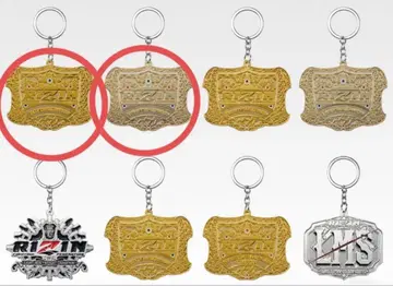 제일복권 RIZIN D상 챔피온 벨트 메탈 참 2개