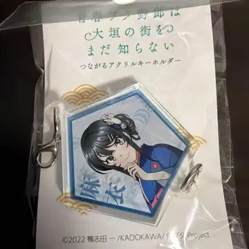 청춘 돼지 바보 오오가키 콜라보 사쿠라지마 마이 한정 판매