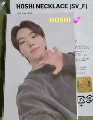 레어 SEVENTEEN 호시 HOSHI