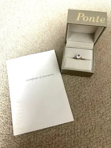 폰테베키오 Ponte Vecchio 반지 K10YG 9호