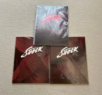 Endless SHOCK 팜플렛 2022 2023