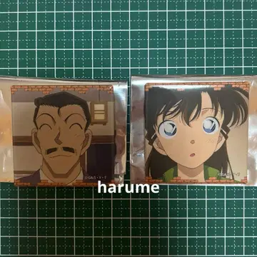 명탐정 코난 코난랜드 TD 메모리얼 캔뱃지 vol.5 코고로 란