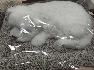 쌔근쌔근 잠자는 강아지 화이트
