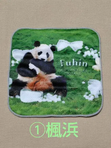 어드벤처 월드 팬더 카에하마 미니 타월 1