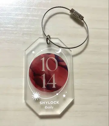 마법사의 약속 트레이딩 매트 아크릴 키링 샤이락