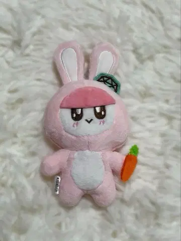 SEVENTEEN 봉봉이 토끼 공식