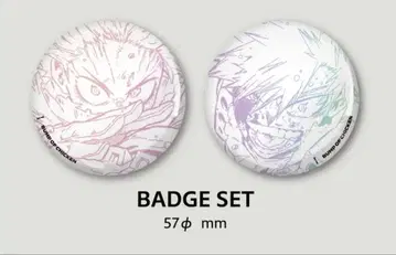 BUMP OF CHICKEN I 한정판 특전 히로아카 캔뱃지 익명 배송