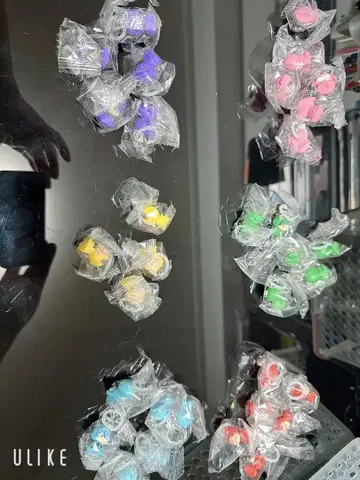 시쿠포니 메지루시 액세서리 전종 세트