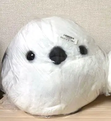 후쿠후쿠 시마에나카의 뒤틀림 BIG 시마짱