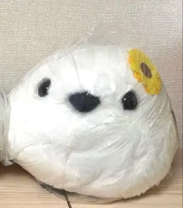 후쿠후쿠 시마에나카 오토스레 BIG 시마에