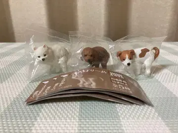 굼바리누 굼바리누 3개 토이 푸들 포메라니안 잭 러셀