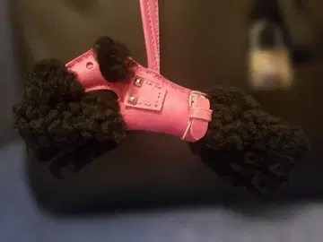 개 모양 참 로데오 가죽 퍼 양가죽 테리어 참 버디 참