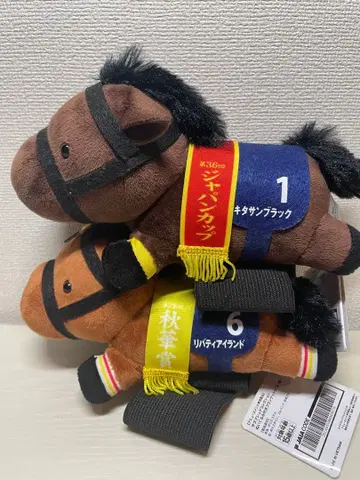 서러브레드 컬렉션 리버티 아일랜드 키타산 블랙