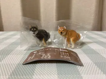 새상품 펀바리~누 펀바리~누 시바견 블랙 시바견