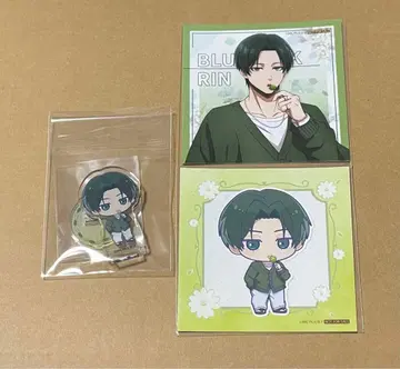 블루 록 White & pistachio 유라쿠초 마루이 이토시 린