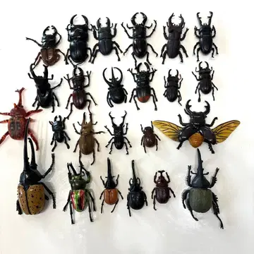 사슴벌레 장수풍뎅이 여러 종류 24마리 묶음 판매 (고무제 포함)