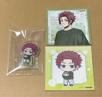 블루 록 White & pistachio 유라쿠초 마루이 이토시 사에