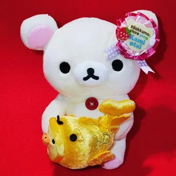 [레어] 상오타이 한정판 코리락쿠마 앉아 봉제 인형 나고야 금의 샤치호코