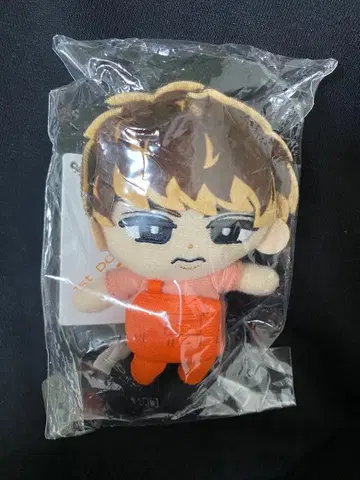 무카이 코지 스노치루