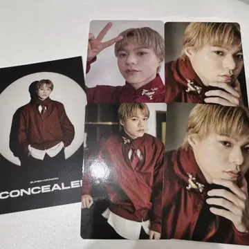 SUPER DRAGON 스파드라 시무라 레오 트레이딩 카드 스티커