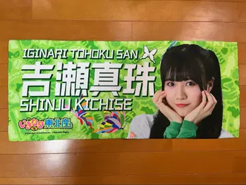 요시세 진주 라쿠텐 콜라보 타월