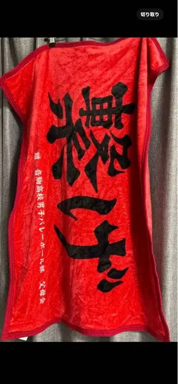 하이큐 네코마 고교 담요