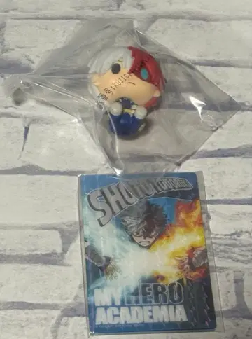 토도로키 쇼토 히로아카 제일복권 히로아카 쵸코놋코 아크릴 거울 카드 세트