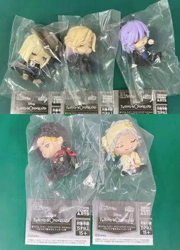 트위스테 어깨 쿵 컴프 세트